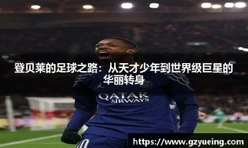 金年会体育